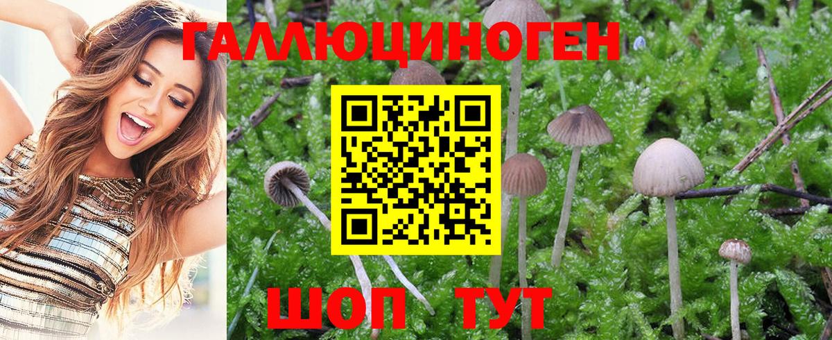 Псилоцибиновые грибы MAGIC MUSHROOMS  Вход с VPN  Галлюциногенные грибы мицелий  хочу   Улан-Удэ 